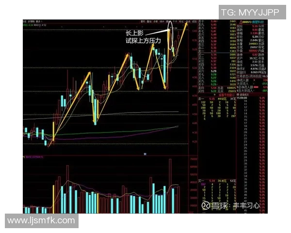 武汉羽毛球队与上海羽毛球队赛后复盘分析比赛节奏与战术对决
